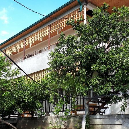 Inzhir Guest House New Athos エクステリア 写真