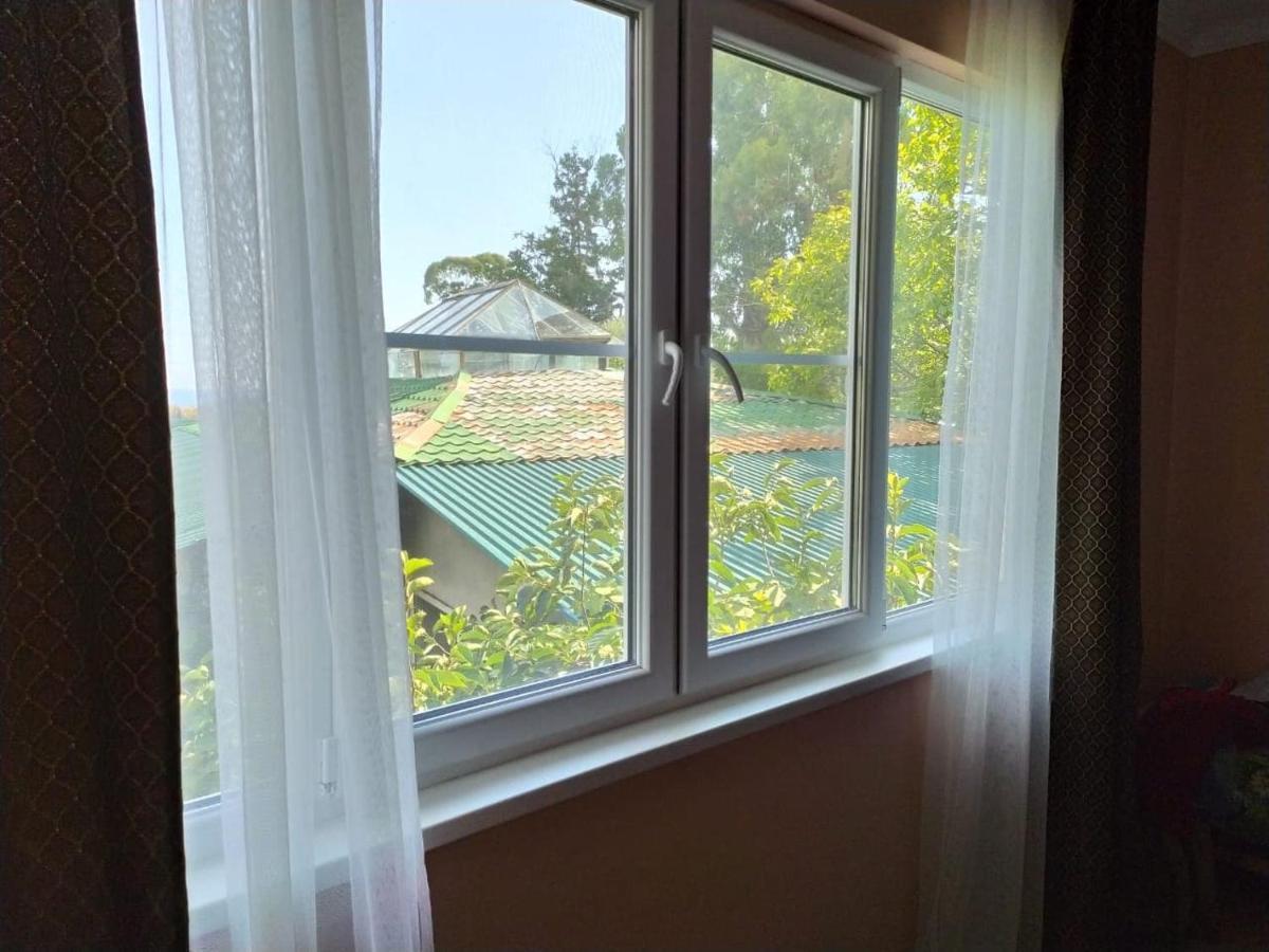 Inzhir Guest House New Athos エクステリア 写真