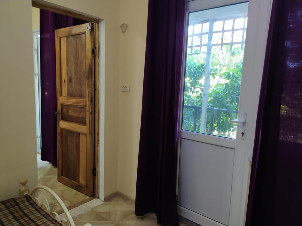 Inzhir Guest House New Athos エクステリア 写真