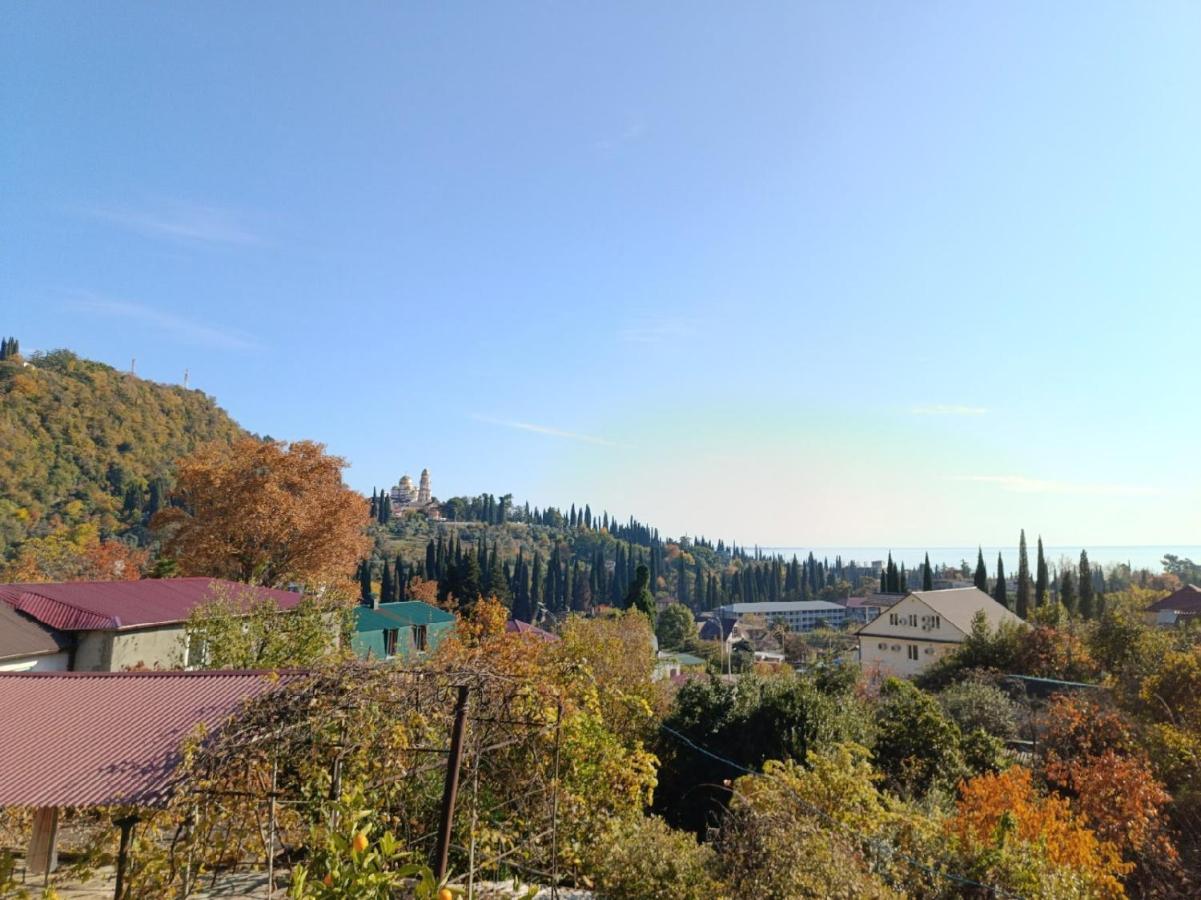 Inzhir Guest House New Athos エクステリア 写真