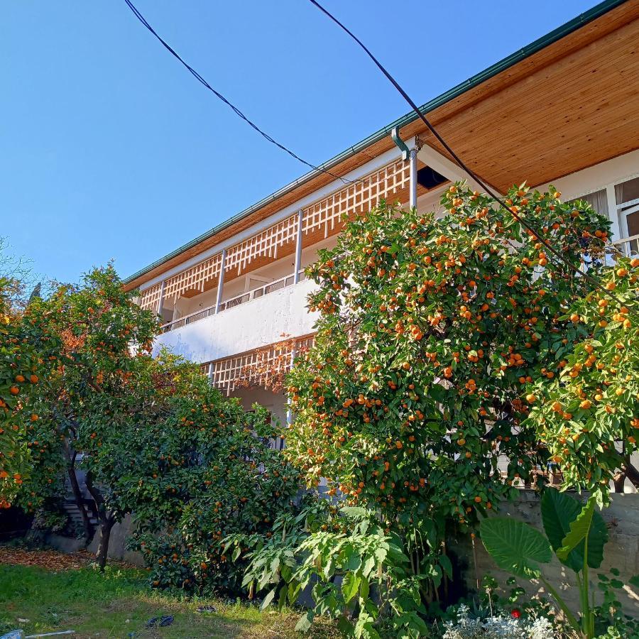 Inzhir Guest House New Athos エクステリア 写真