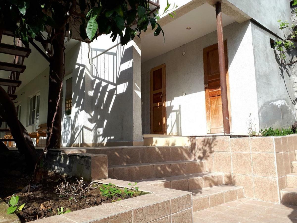 Inzhir Guest House New Athos エクステリア 写真