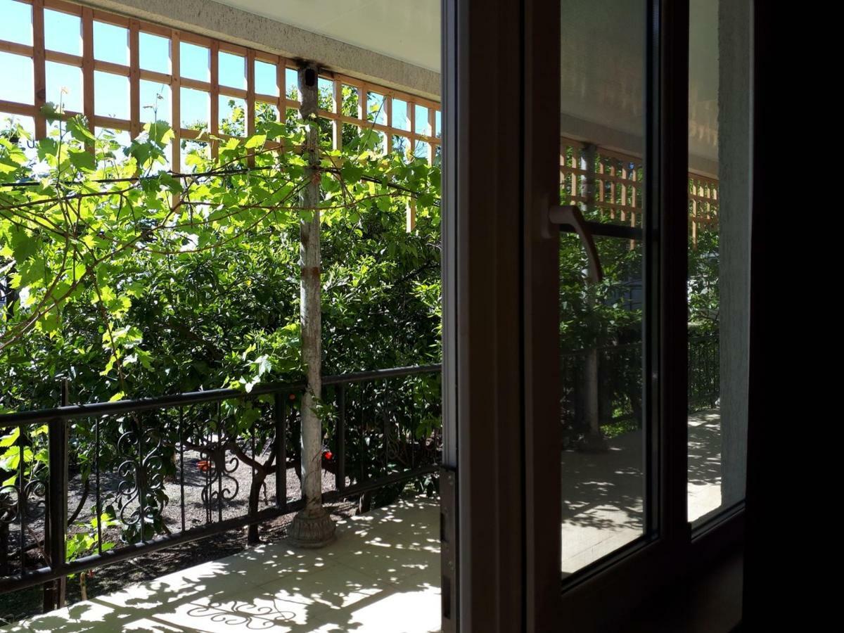 Inzhir Guest House New Athos エクステリア 写真